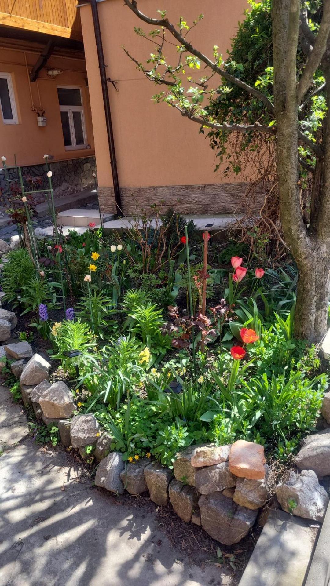 John Residence Apartment Brasov With Parking Option Exteriör bild